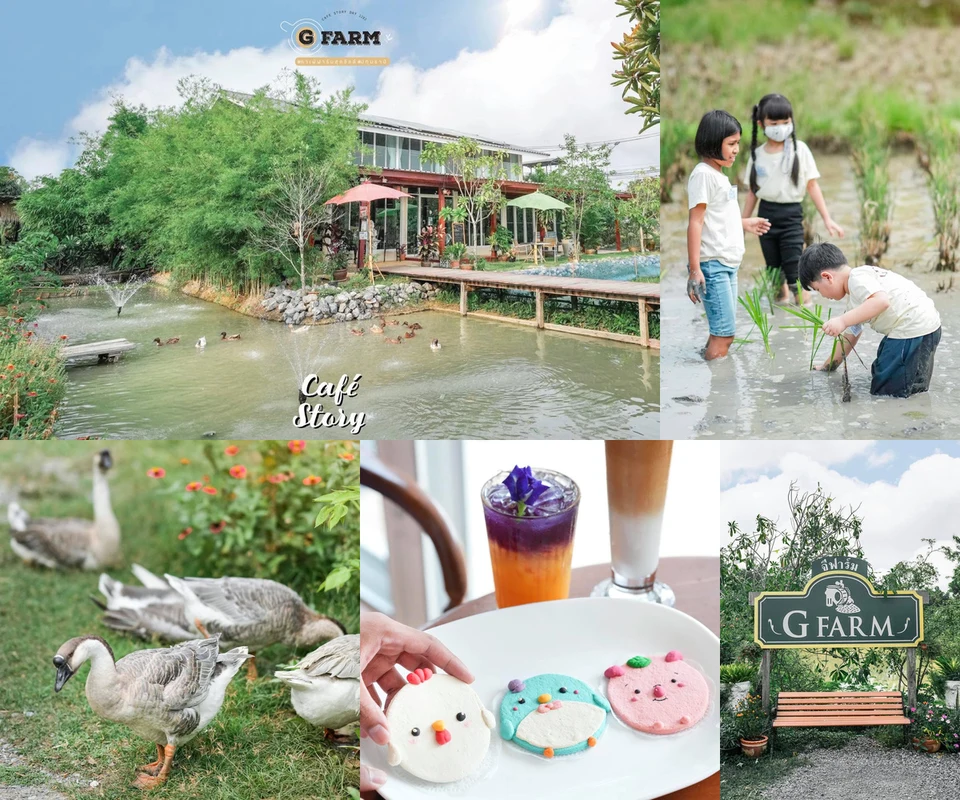 รีวิว G Farm at Sam Khok โดย Cafe Story