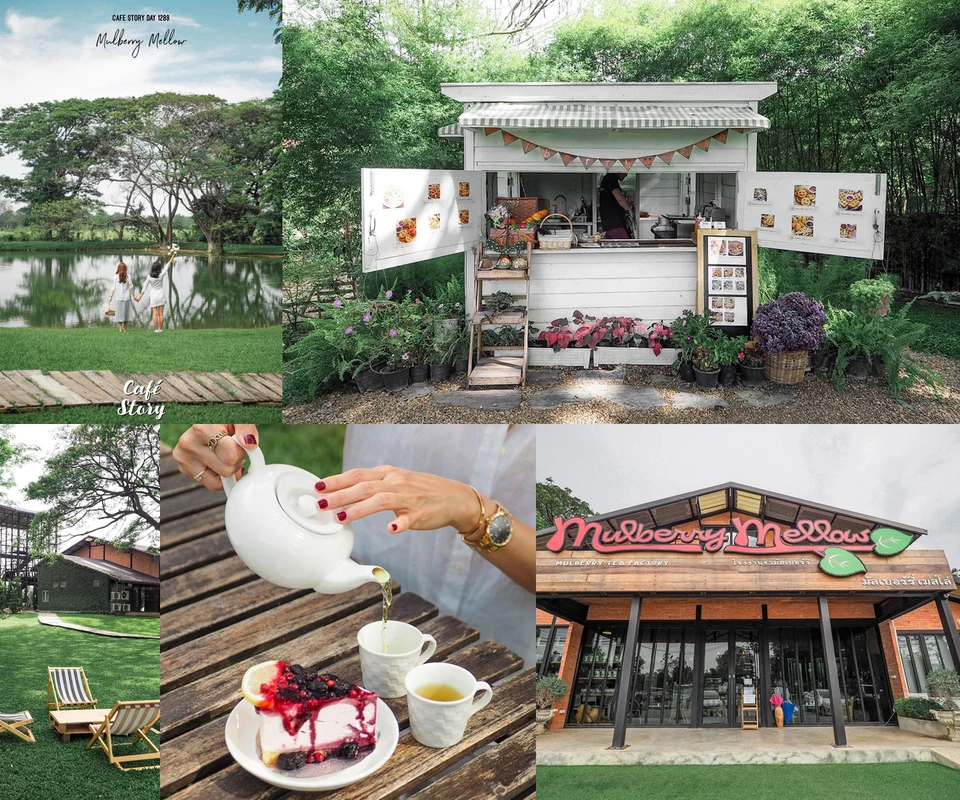 รีวิว Mulberry Mellow โดย Cafe Story