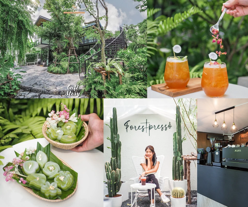 รีวิว Forestpresso โดย Cafe Story
