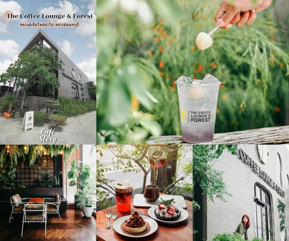 รีวิว The Coffee Lounge & Forest โดย Cafe Story