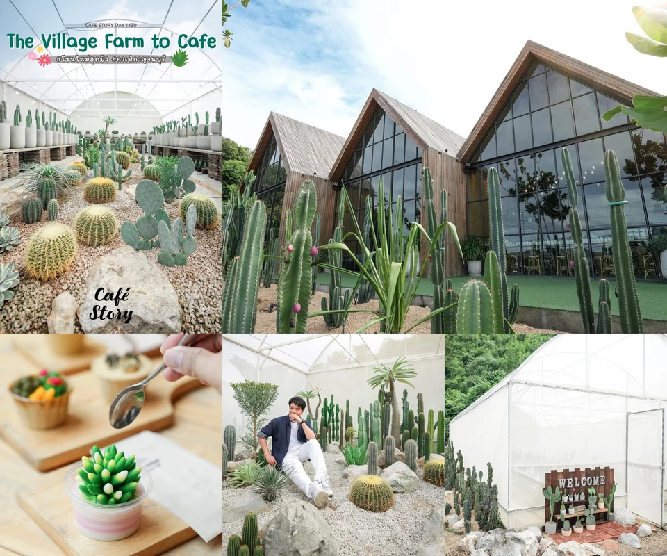 รีวิว The Village Farm to Cafe โดย Cafe Story