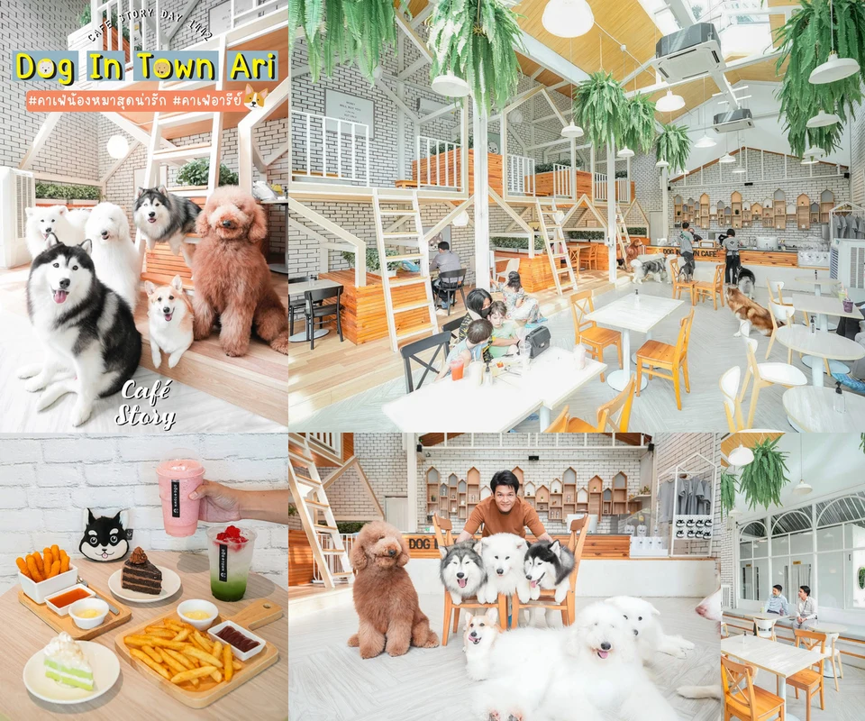 รีวิว Dog In Town Ari โดย Cafe Story