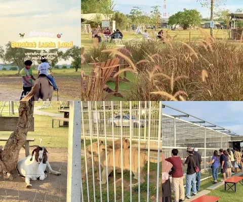ภาพรีวิว Barakat Lunla Land
