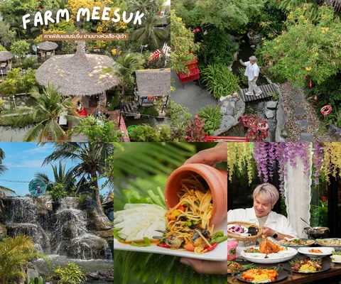 ภาพรีวิว Farm Meesuk • บางหัวเสือ — ร้านอาหารและคาเฟ่ในสวนน้ำตก พร้อมพื้นที่พักผ่อนริมร่องสวน