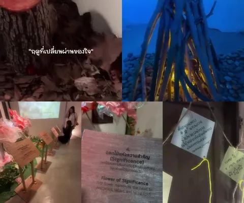 ภาพรีวิว Soul Seasons • GalileOasis