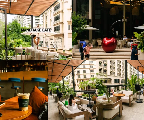 ภาพรีวิว Mandrake Cafe • สุขุมวิท 24 — คาเฟ่ชั้นสองกับมุมกระจกมองอาคาร 24 BLVD