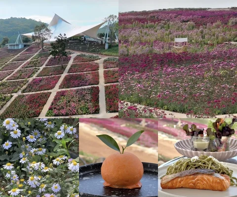 ภาพรีวิว Colina Park • เขาใหญ่