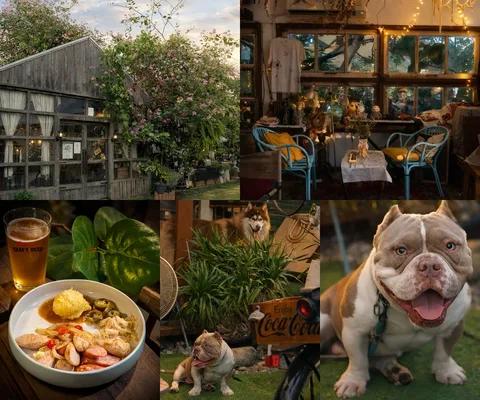 ภาพรีวิว At Yard Bar