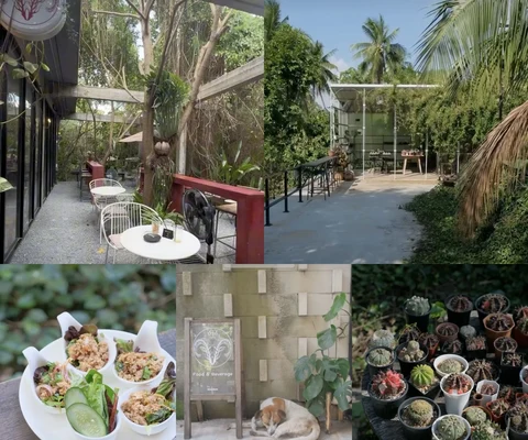 ภาพรีวิว ป่าก์ คาเฟ่ • บางกรวย