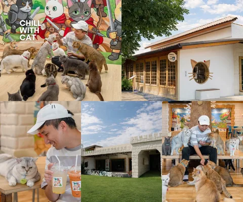 ภาพรีวิว Chill Cat Cafe