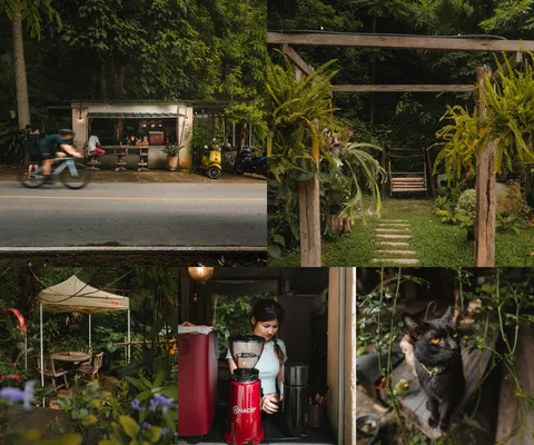 ภาพรีวิว กาแฟดอยกอม
