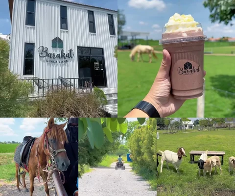 ภาพรีวิว Barakat LunLa Land Café and Farms — หนองจอก