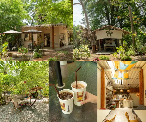 ภาพรีวิว Summer Day Cafe • สามร้อยยอด — คาเฟ่ในสวนใกล้หาดสามร้อยยอด