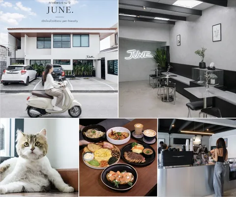 ภาพปกต้นฉบับ JUNE.