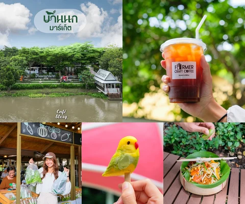 ภาพรีวิว บ้านนกมาร์เก็ต — บางเลน