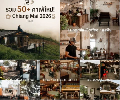 ภาพรีวิว รวมคาเฟ่เชียงใหม่ 50+ ร้าน • EP.3