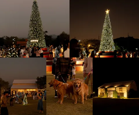 ภาพรีวิว Midwinter Khao Yai • คริสต์มาส 2025 — ต้นคริสต์มาสและไฟประดับในบรรยากาศปลายปี 2025