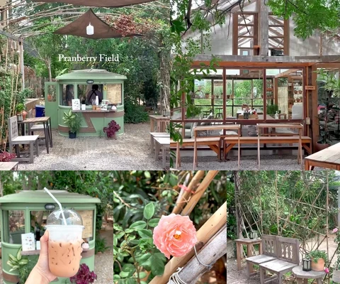 ภาพรีวิว Pranberry Field • ปราณบุรี