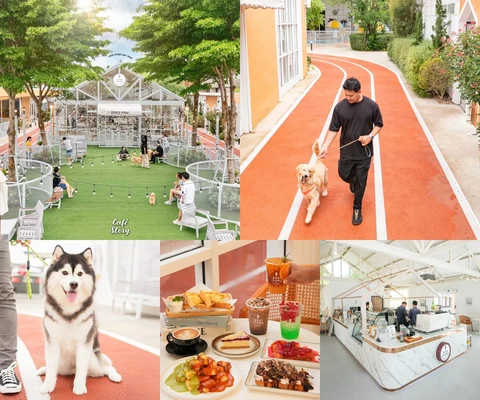 ภาพรีวิว Dog’s Paw — ตลิ่งชัน