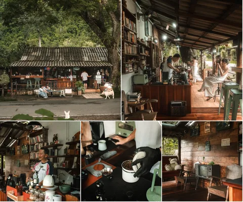 ภาพรีวิว Chiangdao Hut