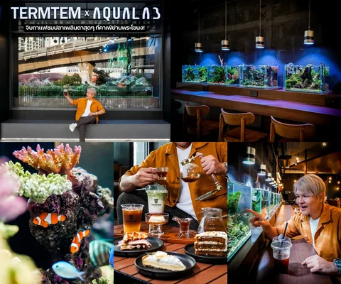 ภาพรีวิว Termtem Coffee × AQUA LAB