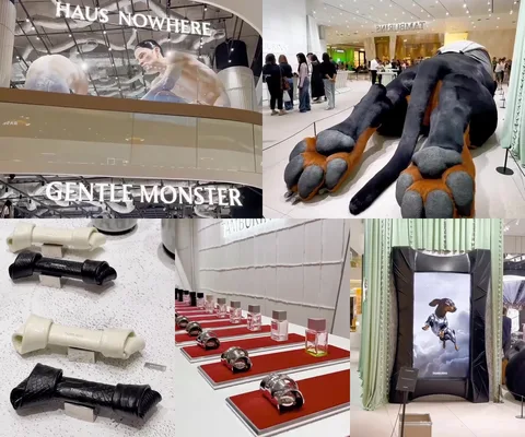 ภาพรีวิว HAUS NOWHERE • TAMBURINS Sunshine