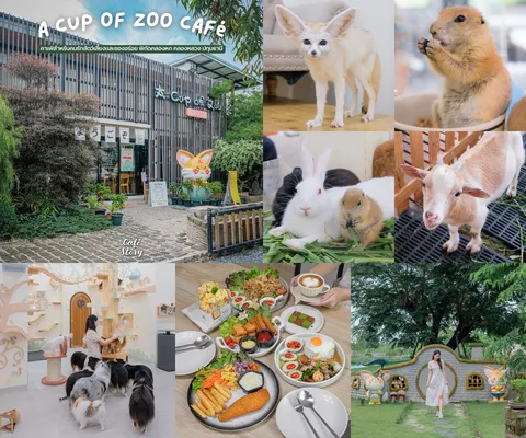 ภาพรีวิว A Cup of Zoo Café • คลองหก