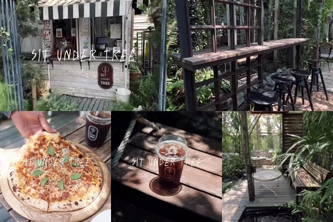 ภาพรีวิว Sit Under Tree