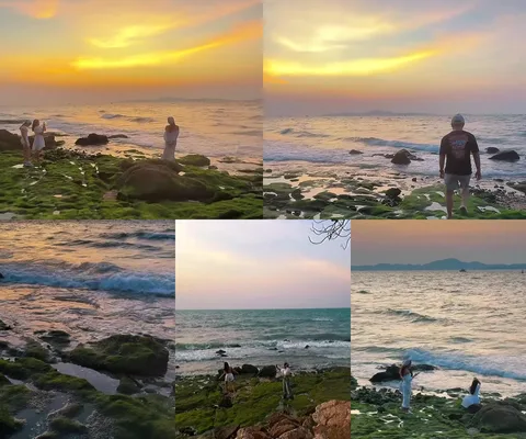 ภาพรีวิว ริมทะเลพัทยา • มกราคม 2025 — แนวหินและมอสสีเขียวในช่วงน้ำลด