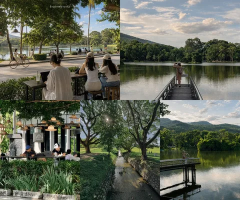 ภาพรีวิว Living A Dream