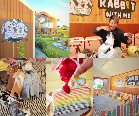 ภาพรีวิว Rabbit With Me Cafe • บางแสน