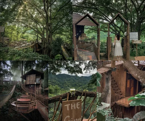 ภาพรีวิว The Giant Chiangmai
