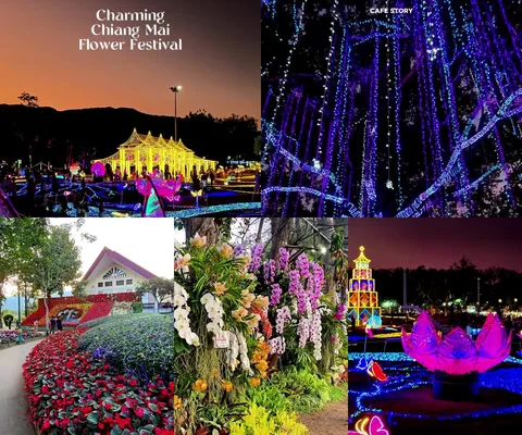 ภาพรีวิว Charming Chiang Mai Flower Festival • 2567–2568